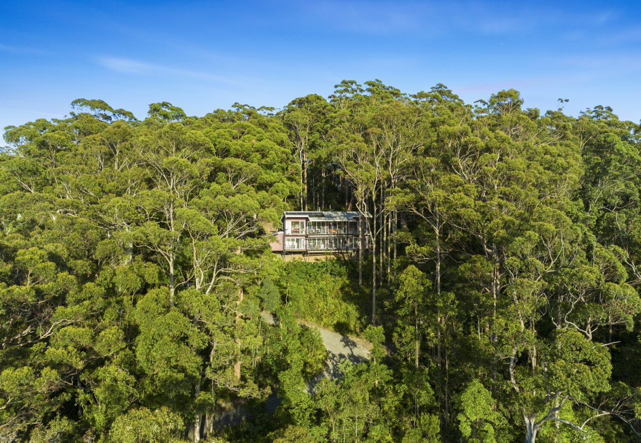 176819662202830841-rsd